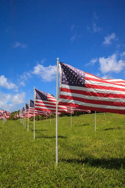 Patriotische Zurschaustellung Mehrerer Großer Amerikanischer Flaggen Wind Während Der Feiertage — Stockfoto