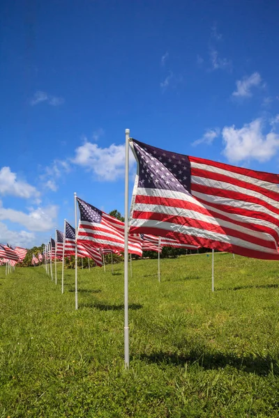 Birden çok büyük Amerikan bayrakları dalga rüzgarda vatansever görüntüsünü tatil sırasında.