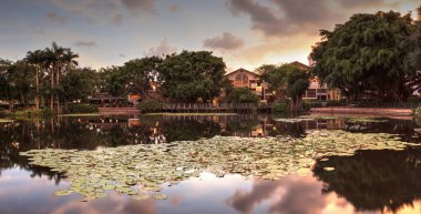 Bir su birikintisi Bahçe umut ve cesaret memorial Bahçe ve kutsal Naples, Florida, günbatımında bakan.