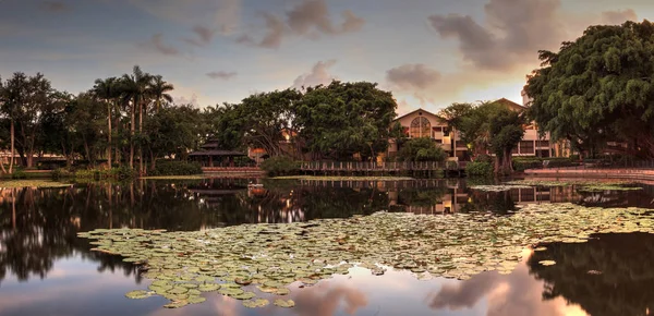 Bir su birikintisi Bahçe umut ve cesaret memorial Bahçe ve kutsal Naples, Florida, günbatımında bakan.
