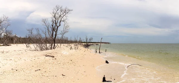 Mraky Nad Bílým Pískem Mangrovových Stromů Mysu Romano Florida — Stock fotografie