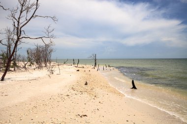 Bulutlar beyaz kumları ve mangrov ağaçlar Cape Romano, Florida üzerinden