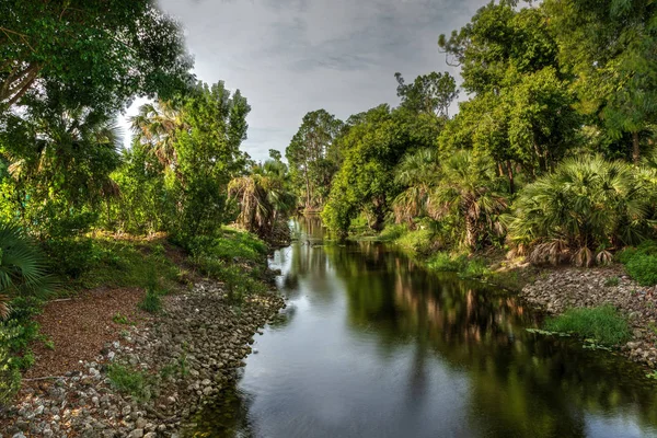 Slingrande Riverway Floden Gordon Skattskyldigt Naples Florida — Stockfoto