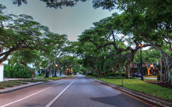 Fákkal Szegélyezett Utcában Mentén Régi Floridai Naples 5Th Street Üzleteinek — Stock Fotó