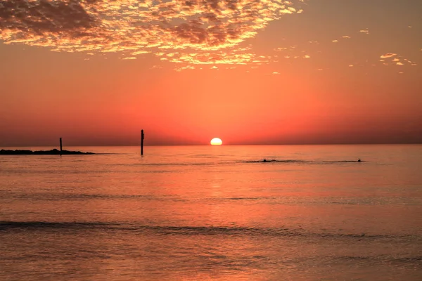 Nagez au coucher du soleil avec un ciel rouge sur South Marco Island Beach — Photo