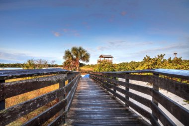 Bird observation tower at the end of a boardwalk at sunrise on Tigertail Beach, Marco Island, Florida clipart