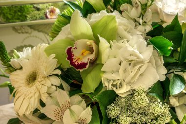 Yeşil Cymbidium orkidesi, anne, beyaz çiçek buketi arka planı.