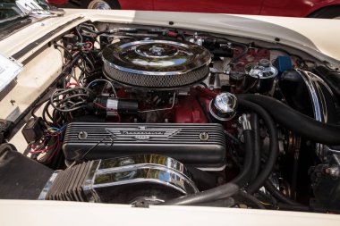 Beyaz 1956 Thunderbird 10 yıllık klasik otomobil ve tekne 