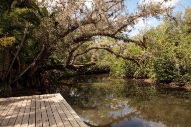 Old dock along the riverway at historic Koreshan State Park.  clipart