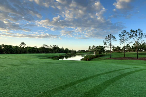 Buja zöld fű, egy golfpálya, egy utat egy golfkocsi — Stock Fotó