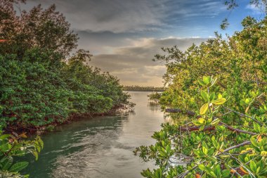Marco Isl yakınlarındaki Capri Isle üzerinde okyanusa giden su yolu