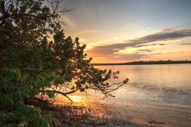 Marco Isl yakınlarındaki Capri Isle üzerinde okyanusa giden su yolu