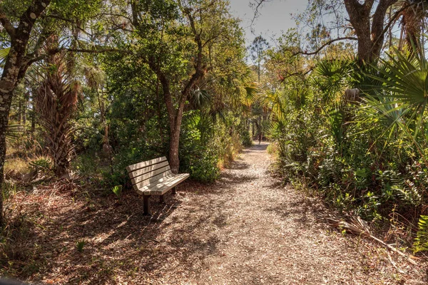 Trilha da natureza e banco ao longo de uma trilha no Rookery Bay Environm — Fotografia de Stock