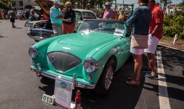 Yeşil 1955 Austin Healey 100-4 32 Yıllık Napoli Depo C