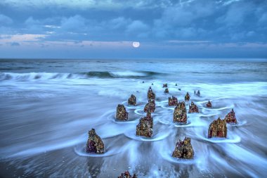 Port Roy sahilde harap bir iskele üzerinde Dawn Moonset