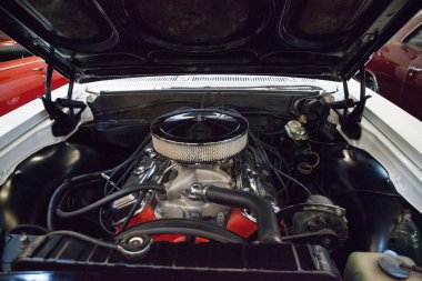 Beyaz 1965 Chevrolet Chevelle S, Muscle Car Cit 'te sergileniyor.