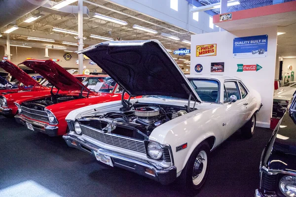 Biały 1969 Chevrolet Nova wystawiony w Muscle Car City Museu — Zdjęcie stockowe