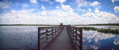 Sarasota, Florida 'daki Myakka Nehri Eyalet Parkı' nın sular altındaki bataklığına bakan sahil yolu..
