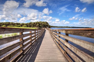 Sarasota, Florida 'daki Myakka Nehri Eyalet Parkı' nın sular altındaki bataklığına bakan sahil yolu..