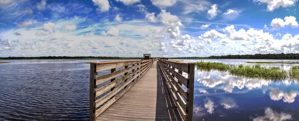 Boardwalk Kilátással Elárasztott Mocsár Myakka River State Park Sarasota Florida — Stock Fotó