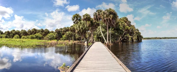 플로리다주 소타에 공원의 침수된 습지가 내려다 보이는 — 스톡 사진