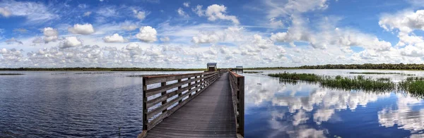 Boardwalk Výhledem Zaplavené Bažiny Myakka River State Park Sarasotě Florida — Stock fotografie