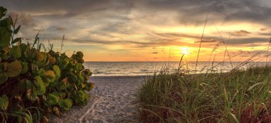 White sand path leading toward Delnor Wiggins State Park at sunset in Naples, Florida. clipart