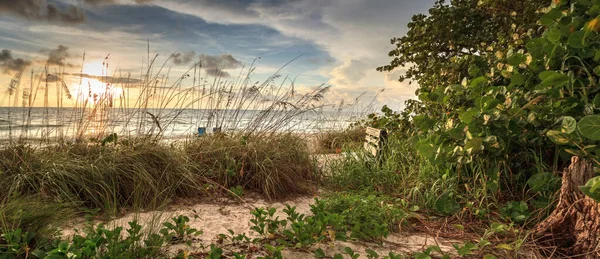 Houtbank Kijkt Uit Wit Zandpad Richting Delnor Wiggins State Park — Stockfoto