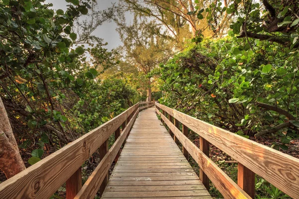 Boardwalk Mengarah Delnor Wiggins State Park Saat Matahari Terbenam Naples — Stok Foto