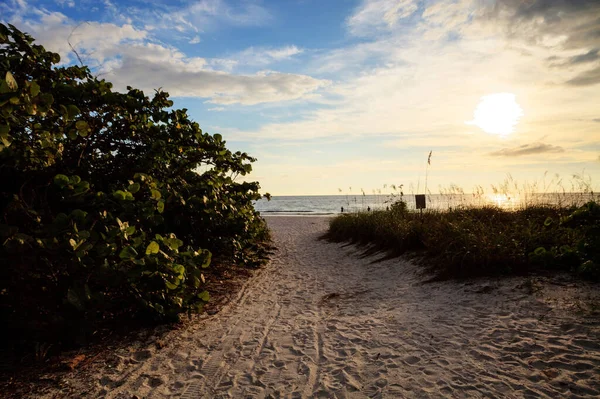 フロリダ州ボニタ スプリングスのベアフット ビーチの白い砂に至る道 — ストック写真