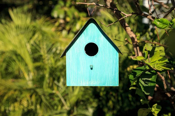 Casa Pájaros Metal Azul Aguamarina Cuelga Limonero Nápoles Florida — Foto de Stock