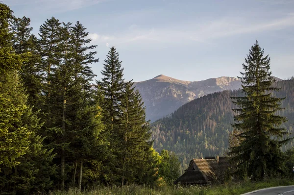 Zakopane yakınındaki dağ manzarası