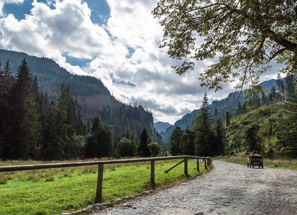 Tatras Koscielisko vadisinde doğa yürüyüşü