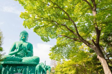 Yeşil ormanda sakin bir yer ile Nagoya büyük Buda.