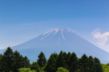 Shibazakura yaz görünümünde Fuji MT.
