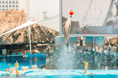 NAGOYA, JAPAN - JUNE 18 2016: Aquarium and  Museum, located in Port of Nagoya, An unidentified woman trainer is showing dolphins as they perform tricks in front of happy crowds. clipart