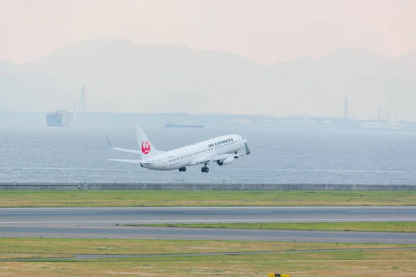 Aichi Japon Juin 2016 Japan Airlines Aéroport International Chubu Centrair — Photo