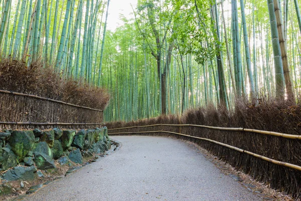 Forêt Bambous Arashiyama Kyoto Japon Beau Fond Bambou Avec Scène — Photo