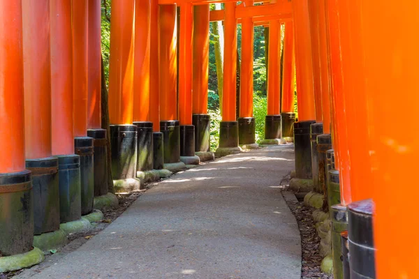 Torii Leidt Naar Het Buitenste Heiligdom Fushimi Inari Taisha Het — Stockfoto