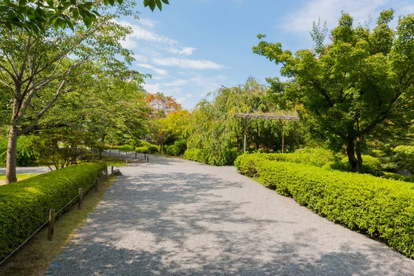 Prachtige Tuin Overdag Natuur Achtergrond Groenblijvende Tuin Met Loopbrug Natuur — Stockfoto