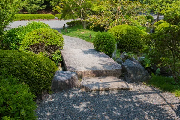 Hermoso Jardín Fondo Natural Aire Libre Durante Día Jardín Siempreverde — Foto de Stock