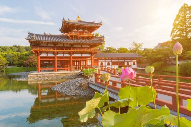 Byodo-in (Phoenix Hall) arka plan ile Lotus çiçek ve yaprak Kyoto Prefecture Japonya'da Uji kentinde bir Budist tapınağı.