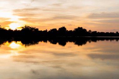 Güzel yansıma ile günbatımı zaman gölde bir ağaçların silüeti.