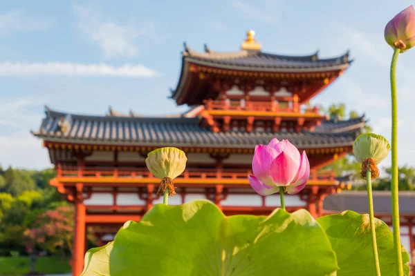 Flor Loto Hoja Con Fondo Byodo Phoenix Hall Templo Budista — Foto de Stock