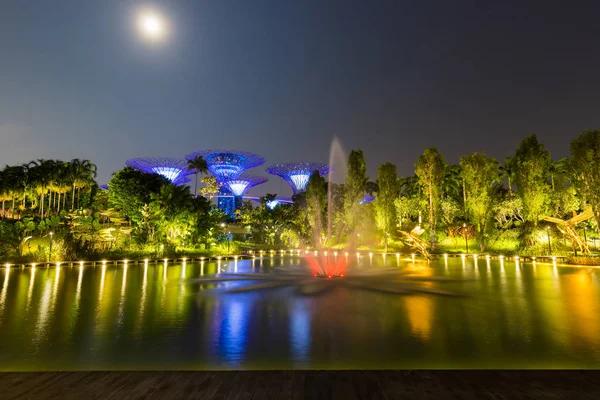 Beautiful night garden in singapore and supertree grove forest illuminated at night. Gardens by the bay, Singapore city.