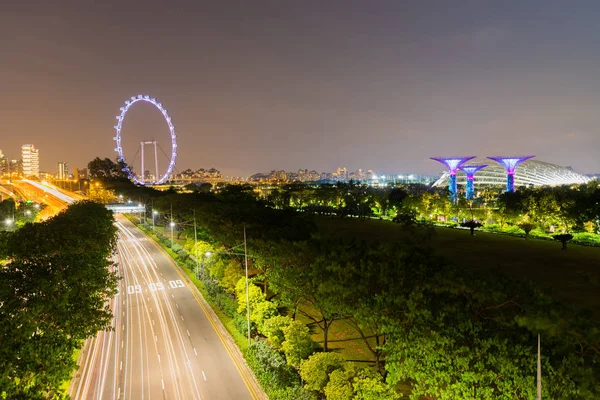 Hermoso Jardín Nocturno Singapur Bosque Superárboles Iluminado Por Noche Jardines —  Fotos de Stock