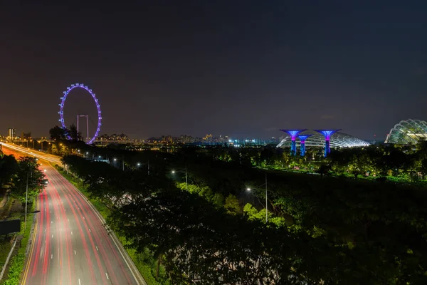 Vacker Natt Trädgård Singapore Och Supertree Grove Forest Upplyst Natten — Stockfoto