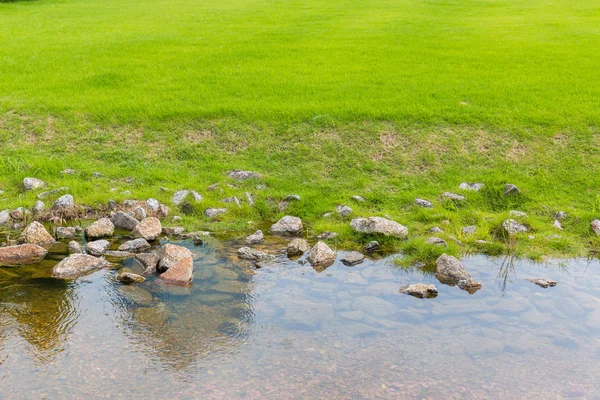 Schönes Grünes Gras Mit Stein Wasser Natur Hintergrund — Stockfoto