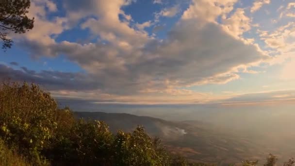 Svítání Ráno Vlnou Mlhy Údolních Horách Národní Park Phu Ruea — Stock video