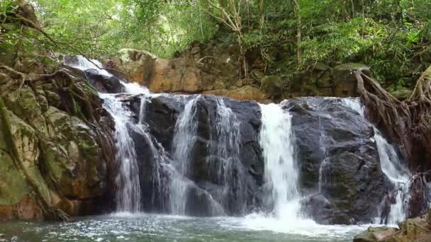 Chet Kod Waterfall Ecotourism Study Center Chet Kod Pong Kon — Stock Video